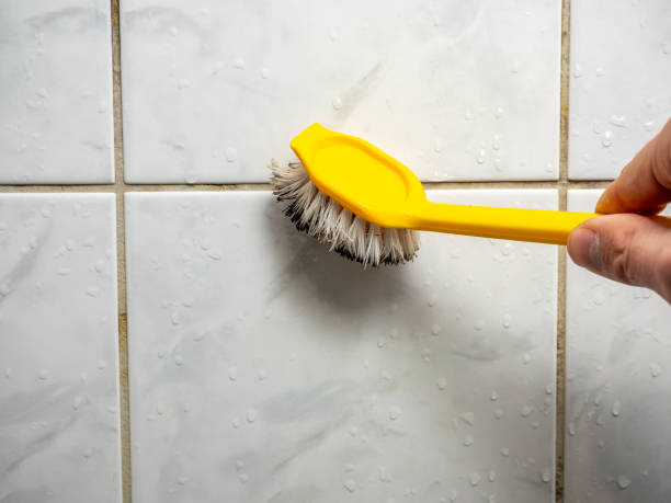 Best Affordable Mold Removal  in Dexter, MO