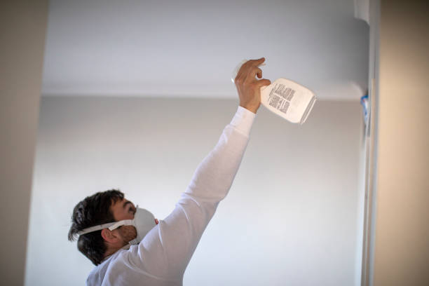 Best Commercial Mold Removal  in Dexter, MO